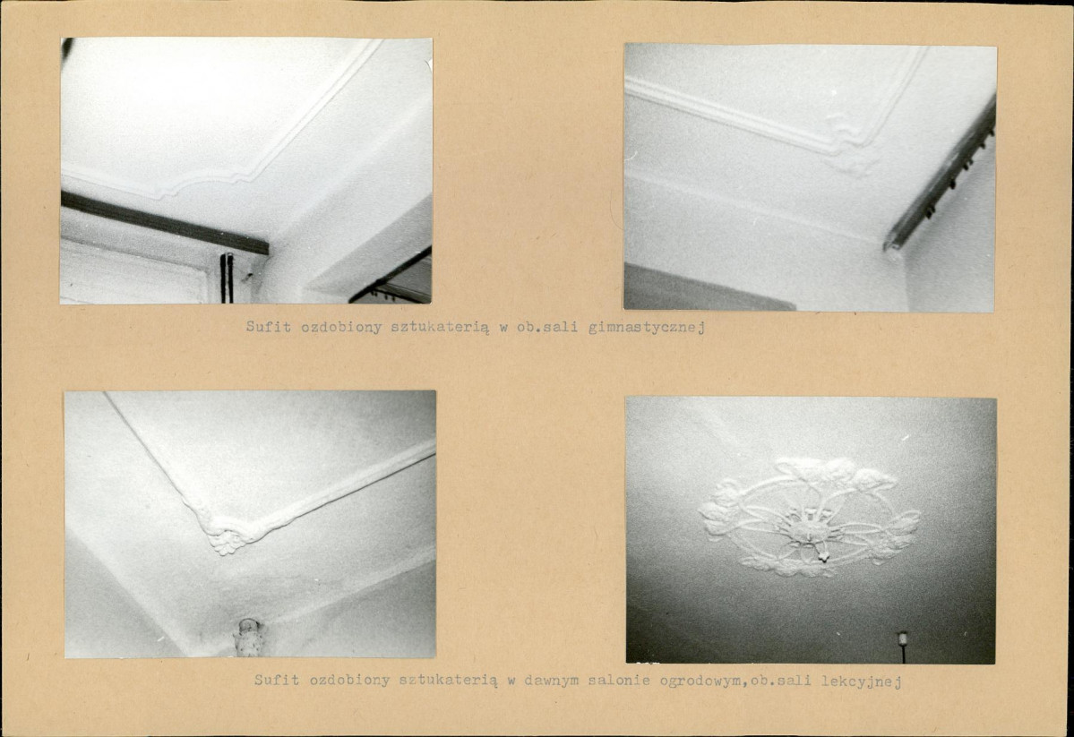 Karta biała, skan nr 14