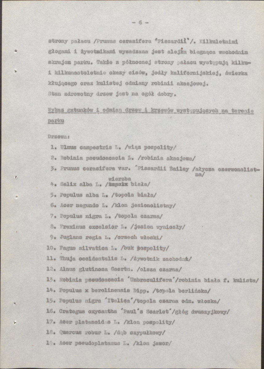 Ewidencja parkowa, skan nr 13