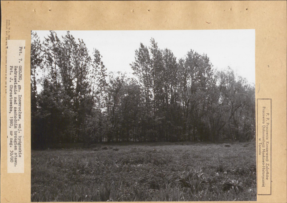 Ewidencja parkowa, skan nr 26