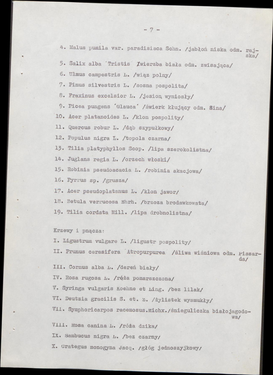 Ewidencja parkowa, skan nr 14