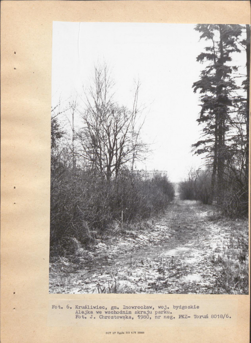 Ewidencja parkowa, skan nr 24