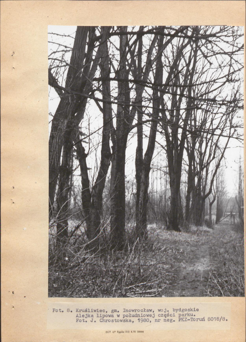 Ewidencja parkowa, skan nr 26