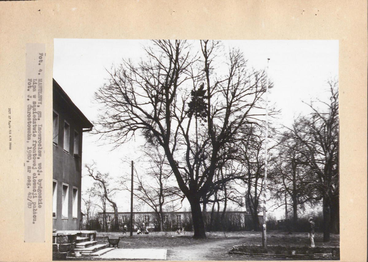 Ewidencja parkowa, skan nr 21