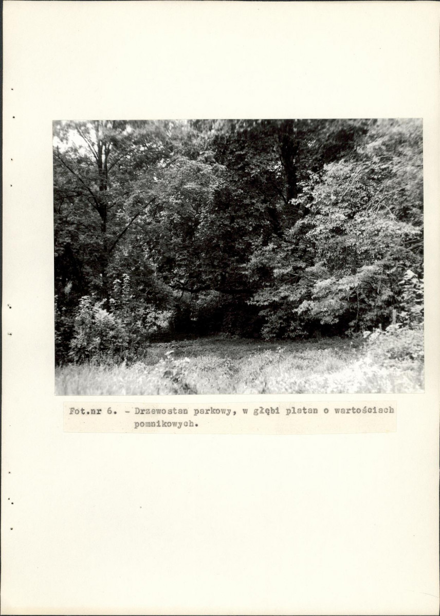 EP - Ewidencja parkowa, skan nr 32