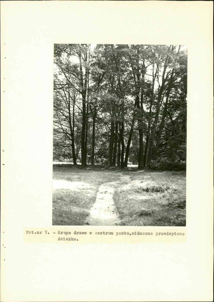 EP - Ewidencja parkowa, skan nr 33
