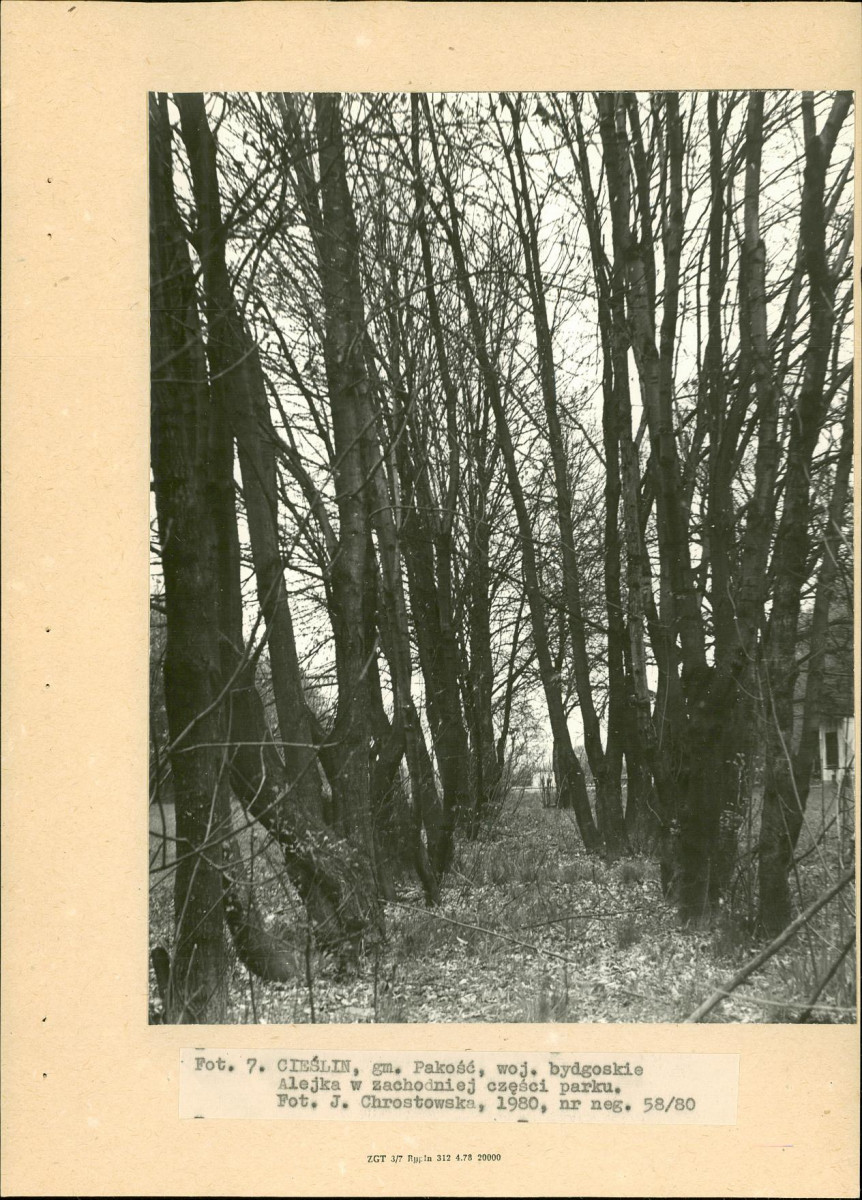 Ewidencja parkowa, skan nr 23