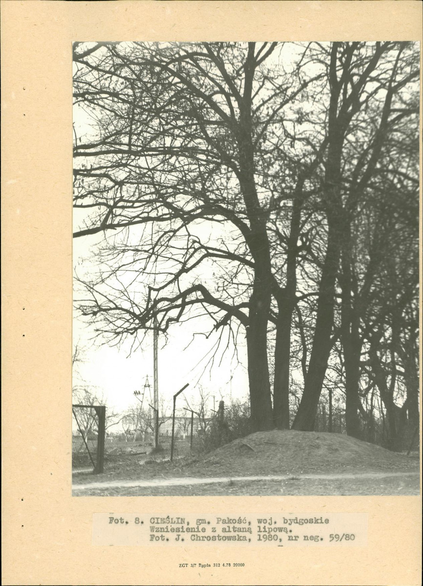 Ewidencja parkowa, skan nr 24