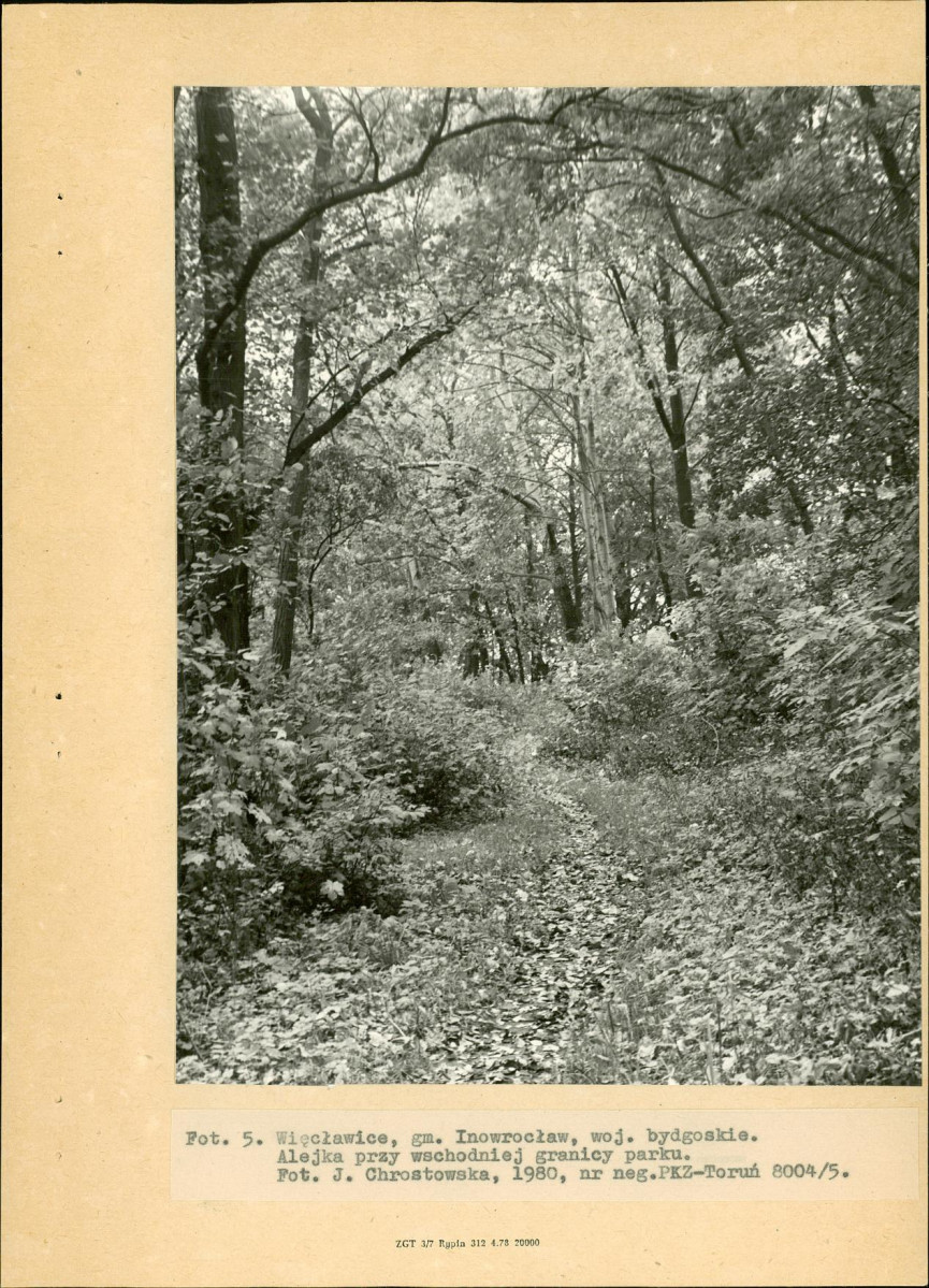 Ewidencja parkowa, skan nr 24