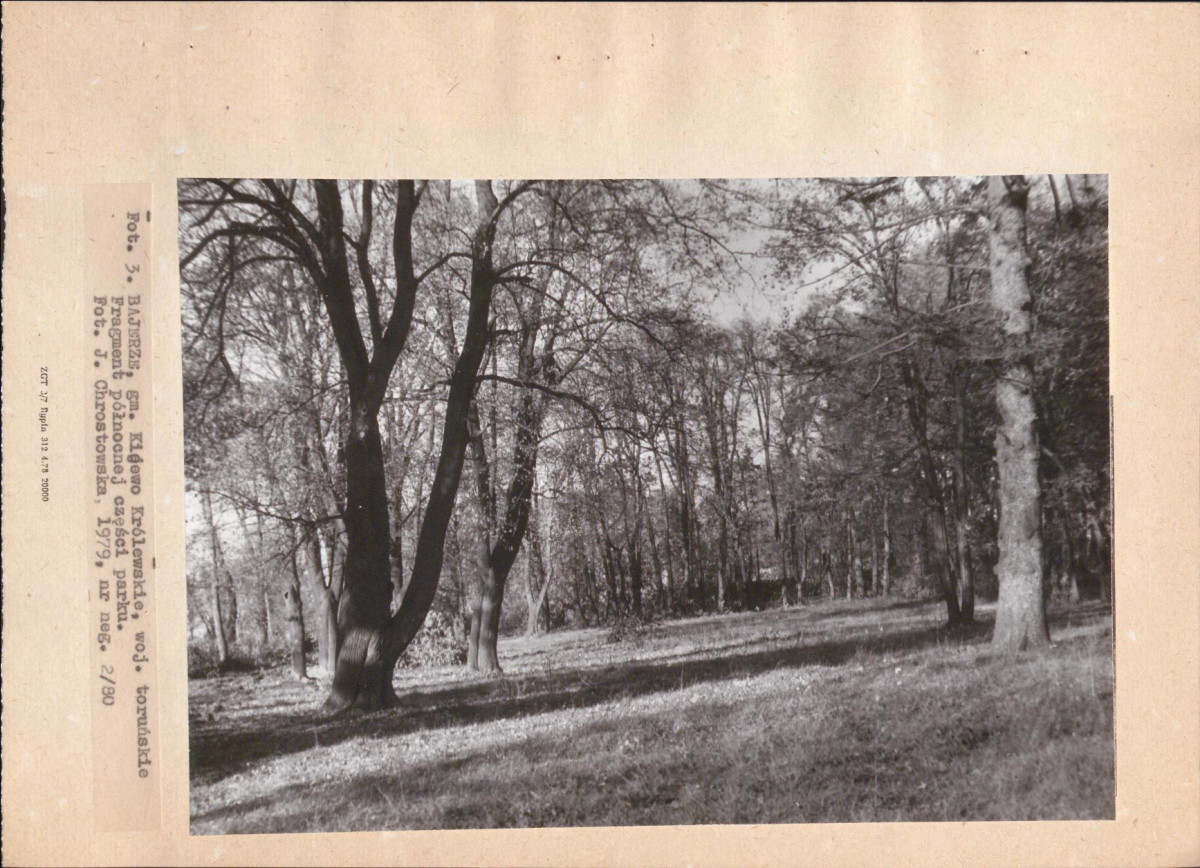 Ewidencja parkowa, skan nr 21