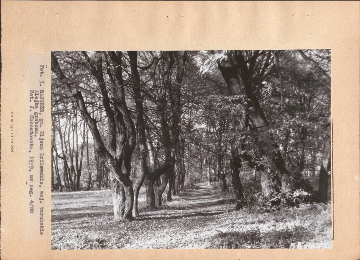 Ewidencja parkowa, skan nr 23