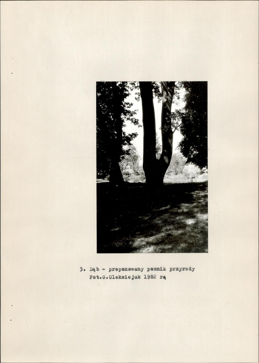 EP - Ewidencja parkowa, skan nr 17