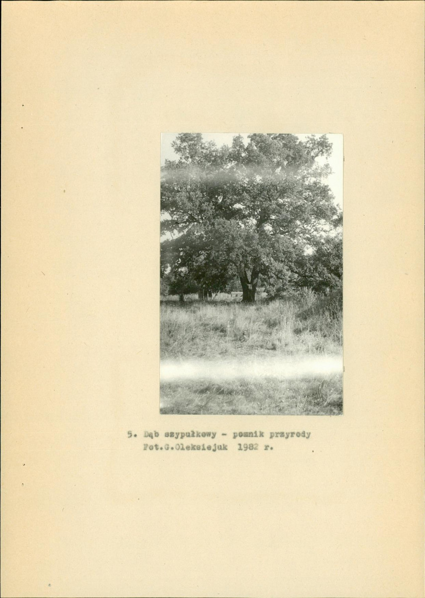 Ewidencja parkowa, skan nr 18