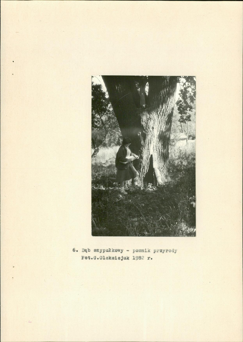 Ewidencja parkowa, skan nr 19