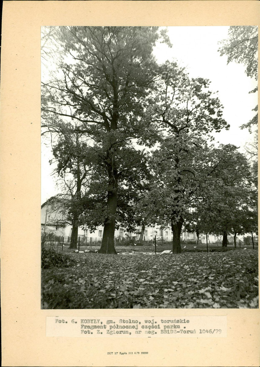 Ewidencja parkowa, skan nr 22