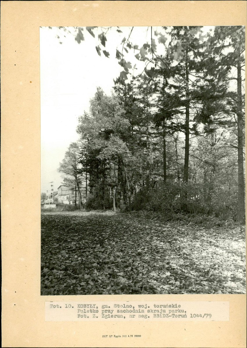Ewidencja parkowa, skan nr 26