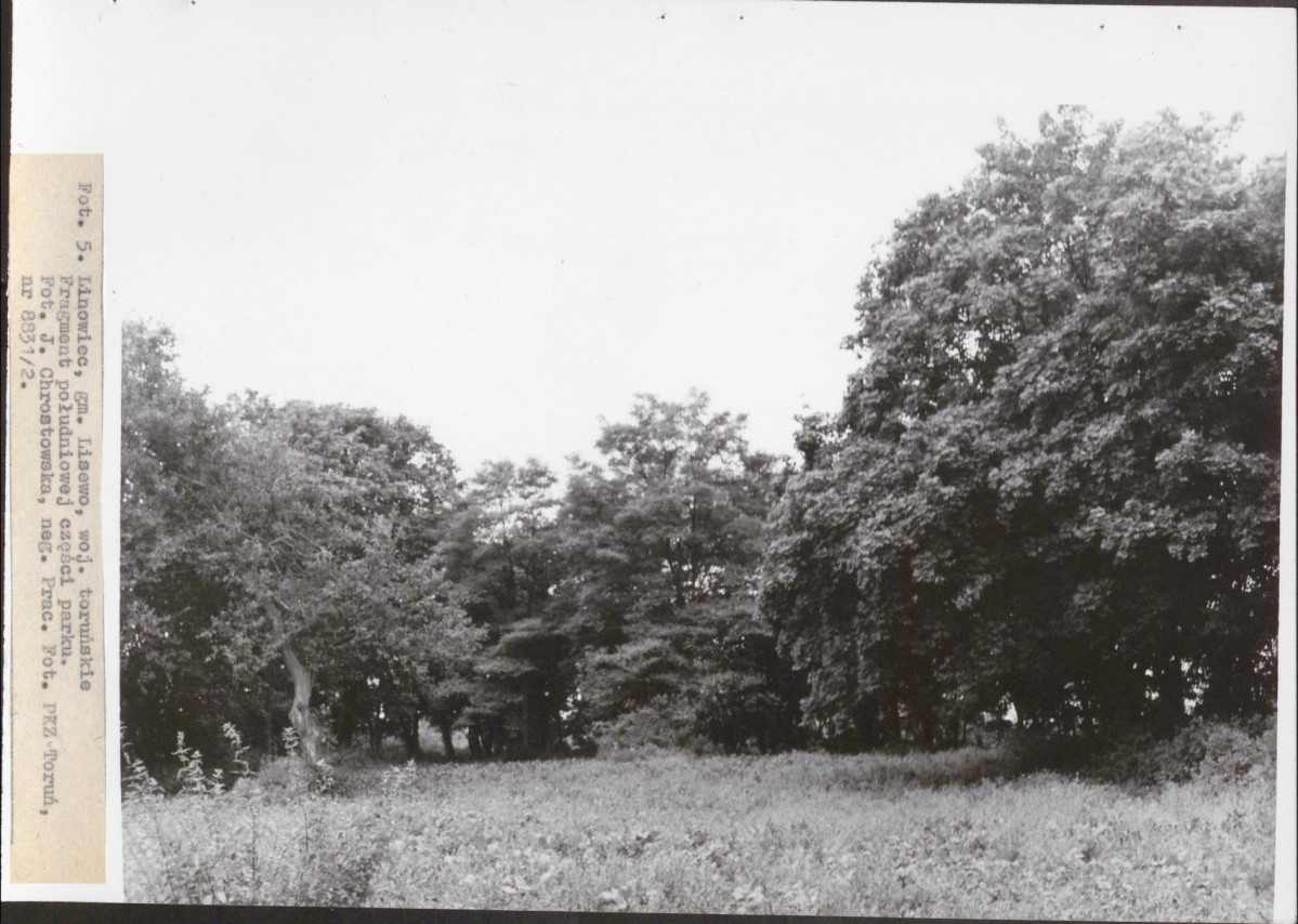 Ewidencja parkowa, skan nr 21