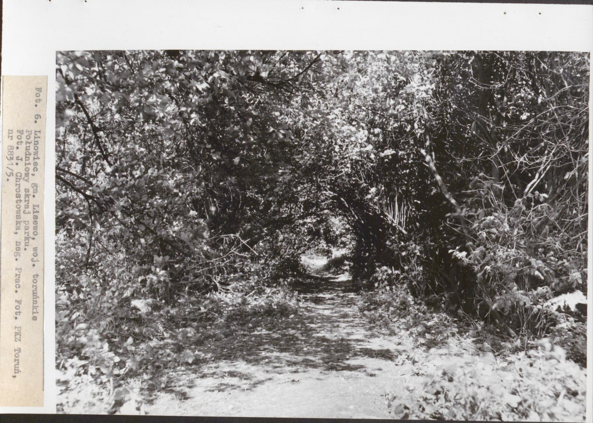 Ewidencja parkowa, skan nr 22