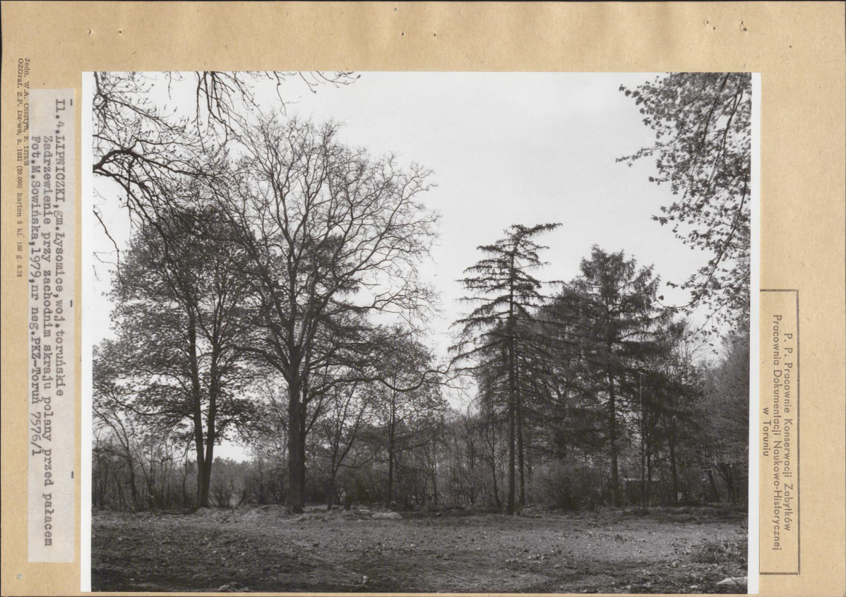 EP - Ewidencja parkowa, skan nr 19