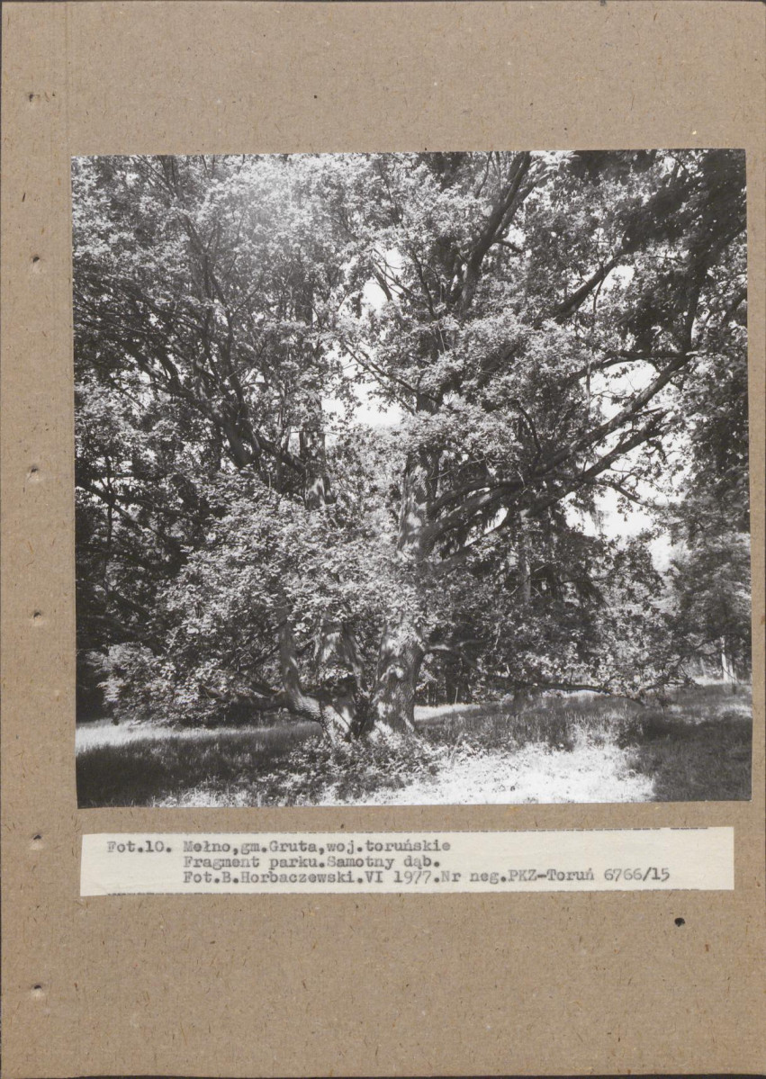 EP - Ewidencja parkowa, skan nr 27
