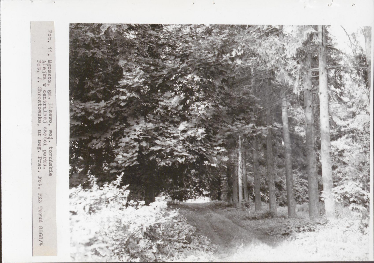 EP - Ewidencja parkowa, skan nr 31