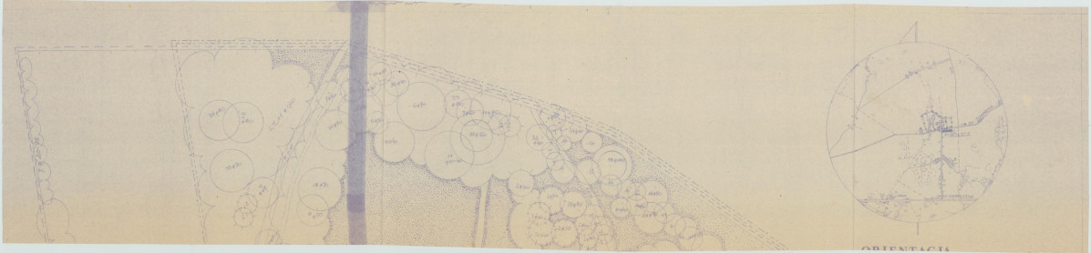 EP - Ewidencja parkowa, skan nr 37