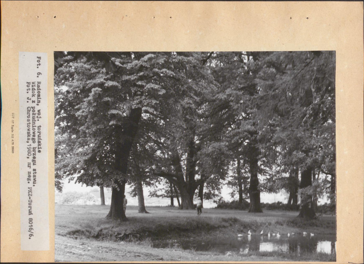 Ewidencja parkowa, skan nr 26