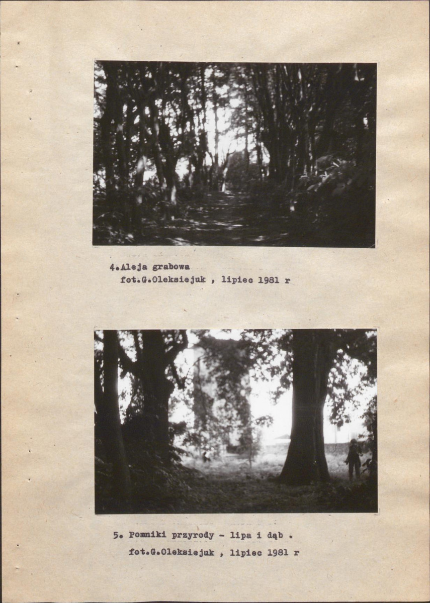 Ewidencja parkowa, skan nr 20
