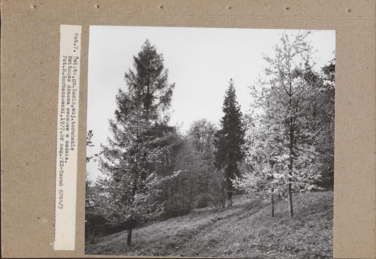 EP - Ewidencja parkowa, skan nr 18