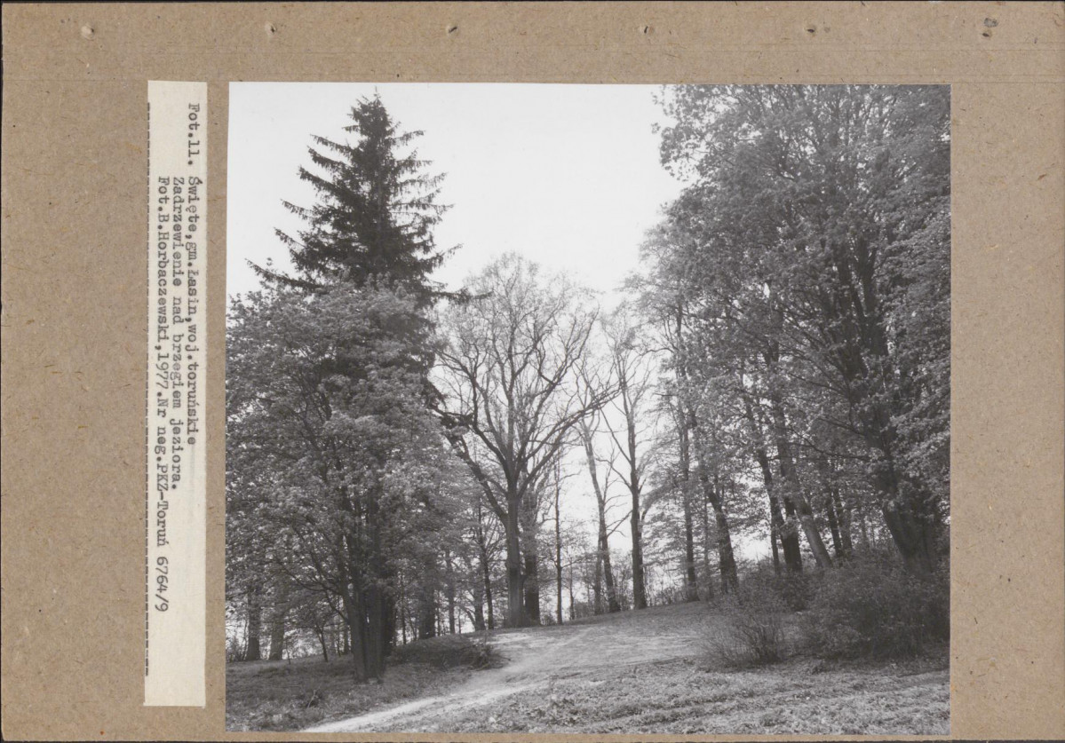 EP - Ewidencja parkowa, skan nr 22