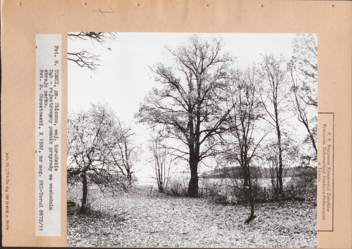 Ewidencja parkowa, skan nr 26
