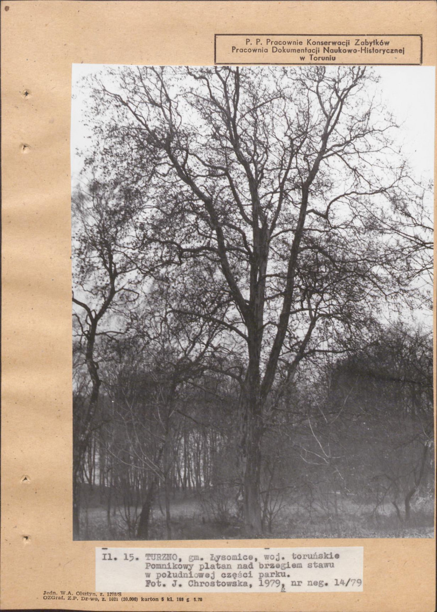 EP - Ewidencja parkowa, skan nr 39