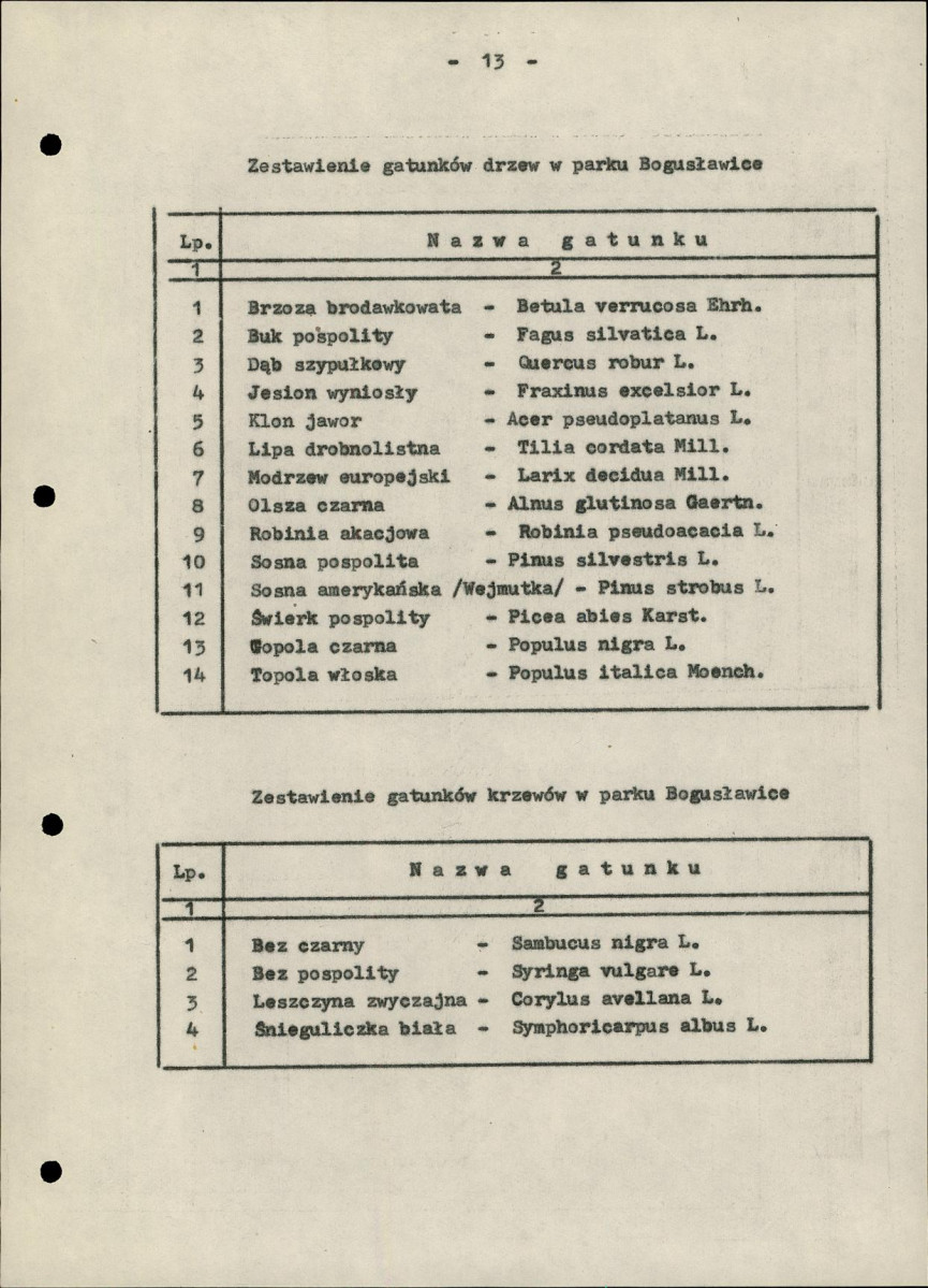Ewidencja parkowa, skan nr 17