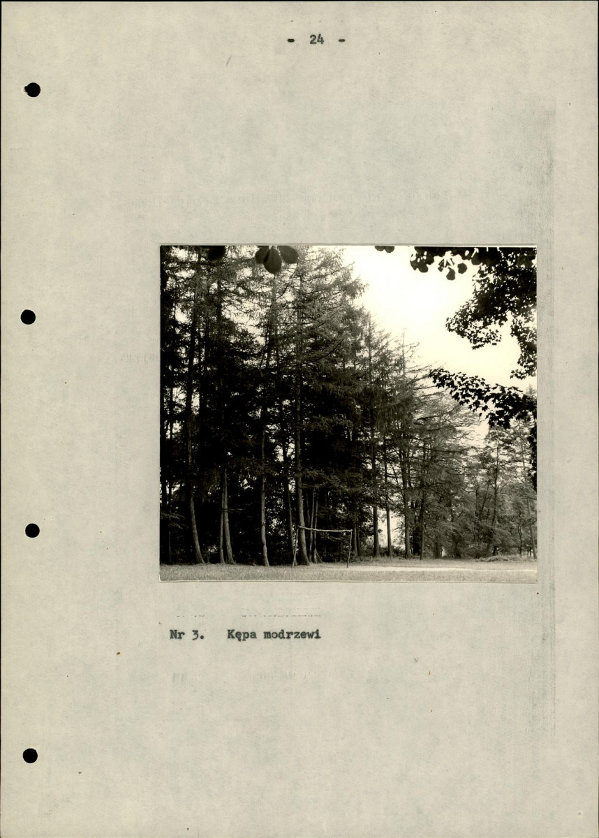 Ewidencja parkowa, skan nr 28
