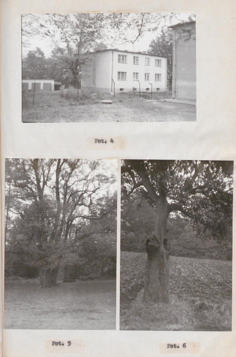 Ewidencja parkowa, skan nr 21
