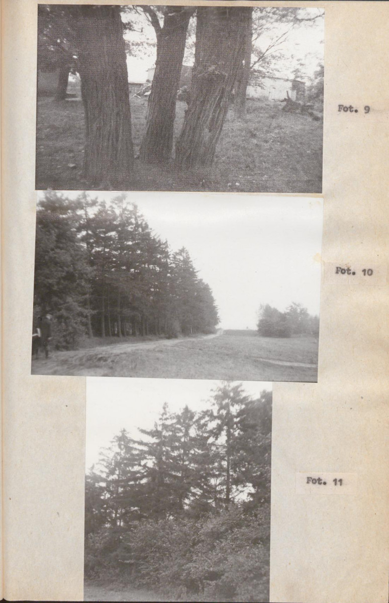 Ewidencja parkowa, skan nr 23