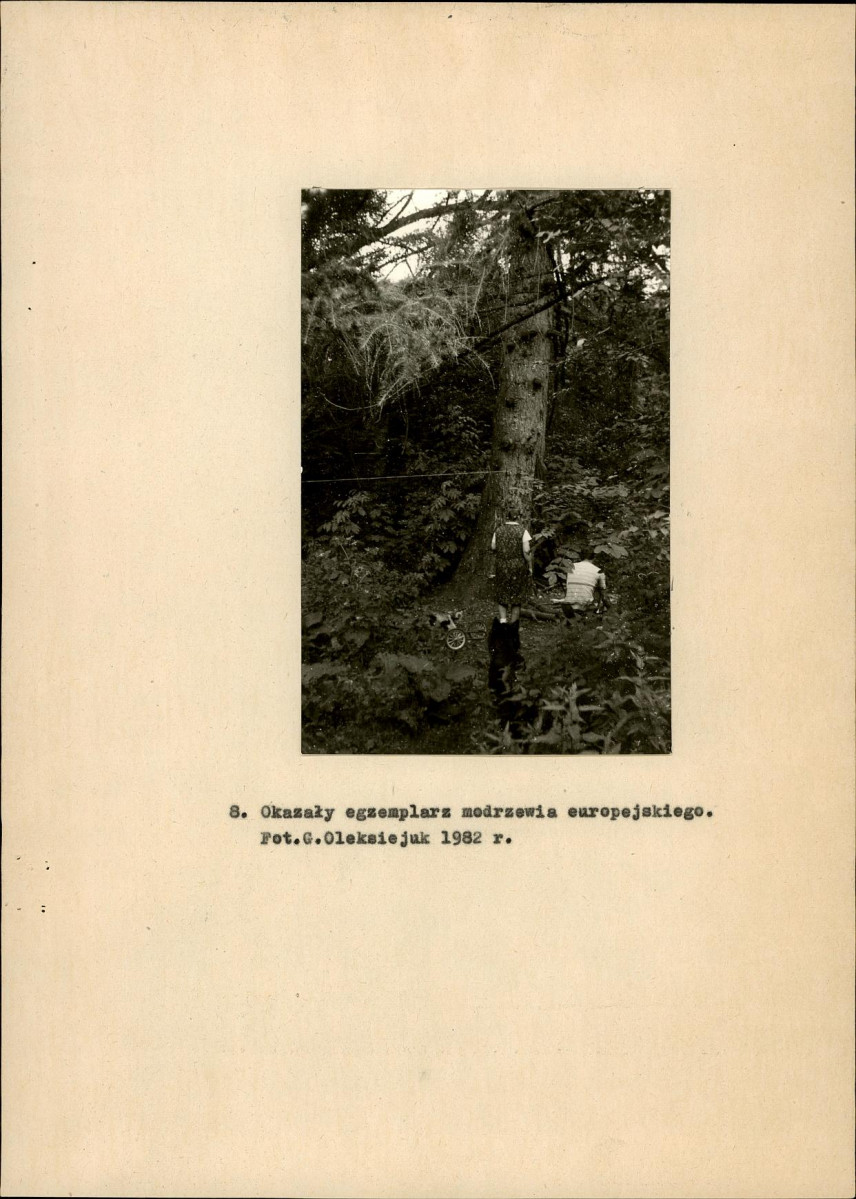 Ewidencja parkowa, skan nr 23