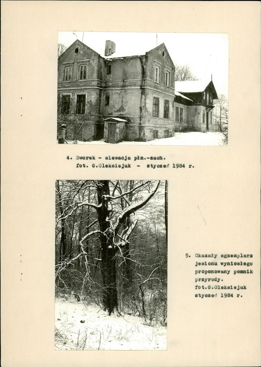 EP - Ewidencja parkowa, skan nr 19