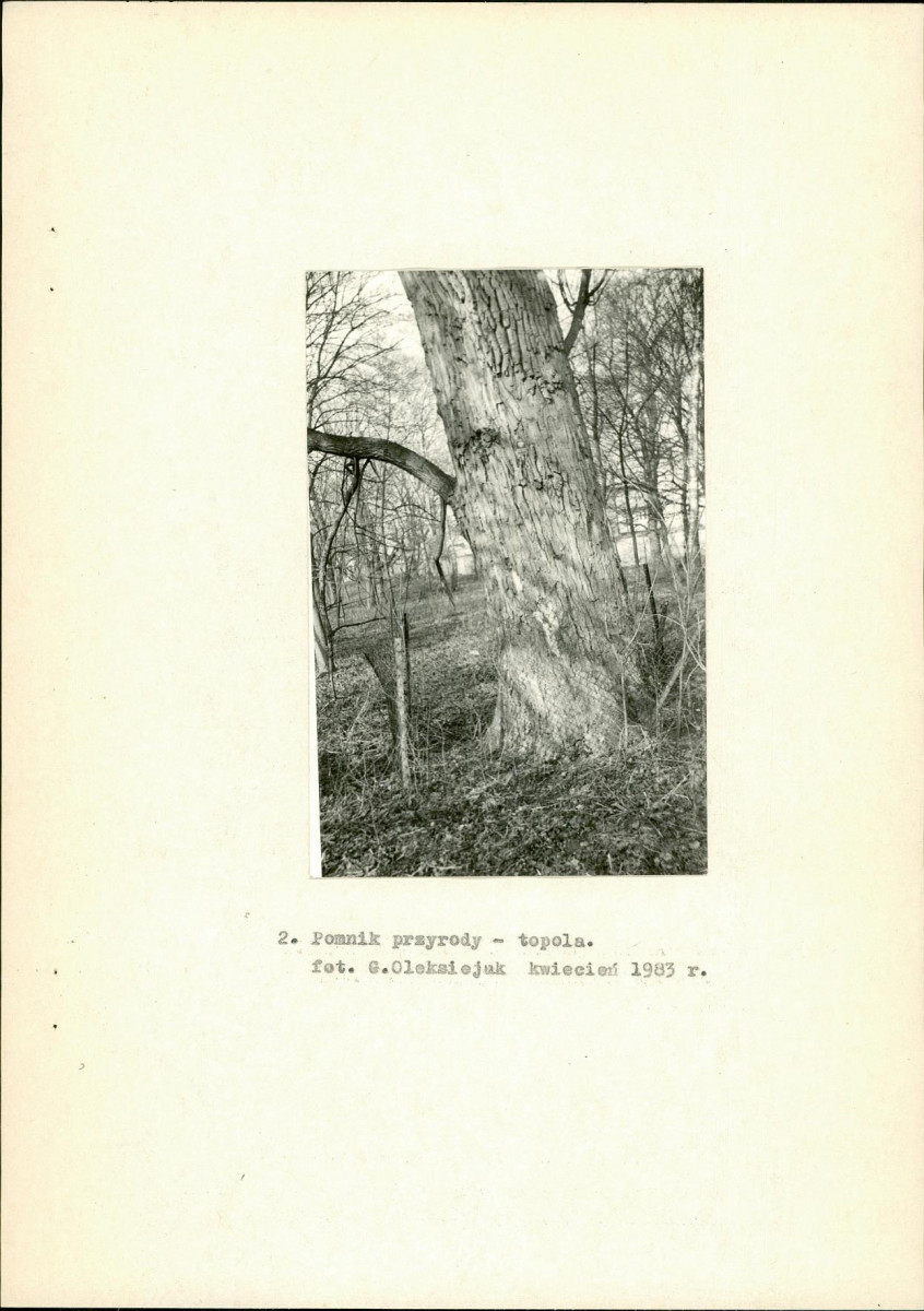 Ewidencja parkowa, skan nr 20