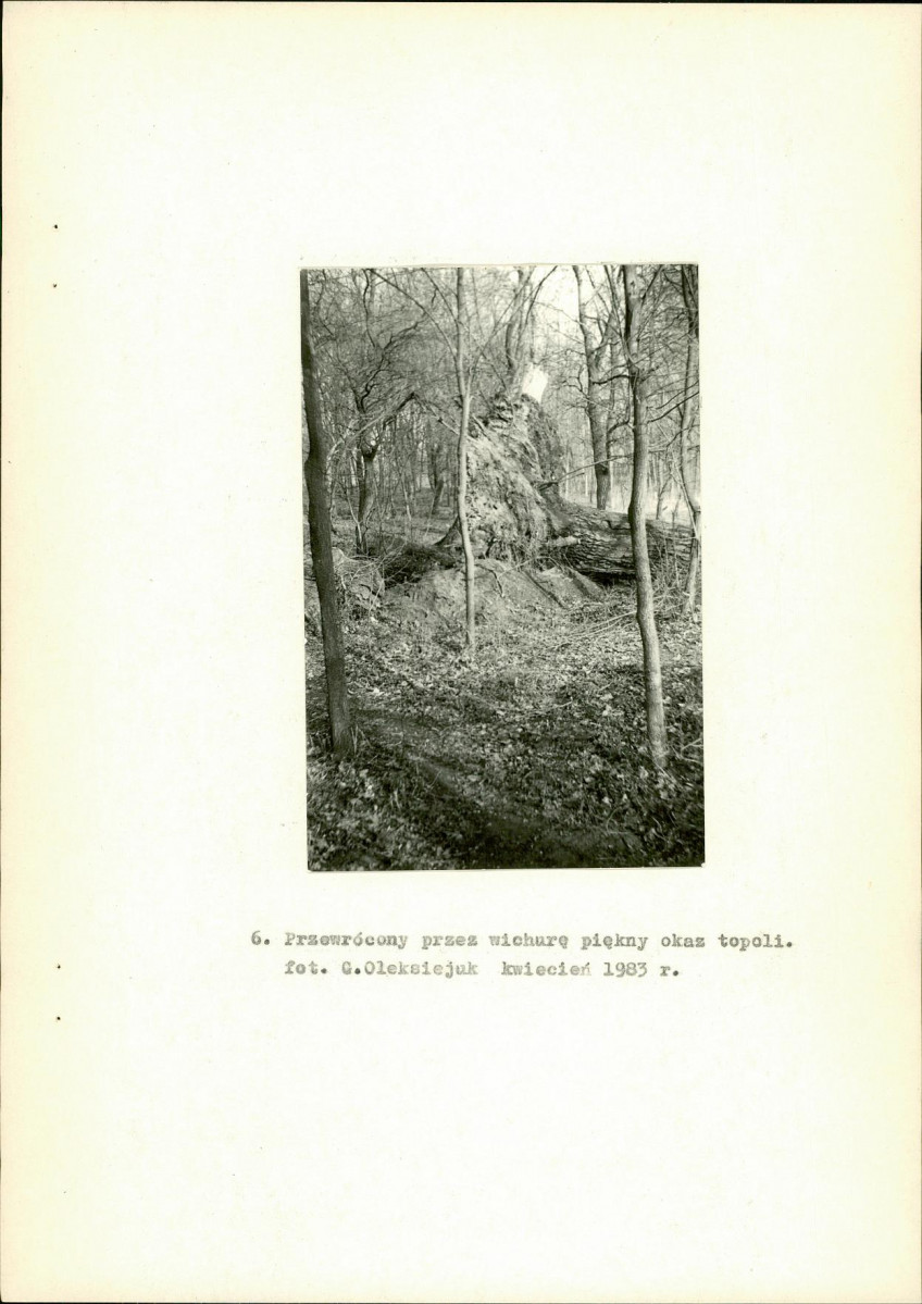 Ewidencja parkowa, skan nr 23