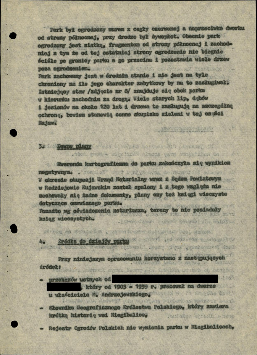Ewidencja parkowa, skan nr 13