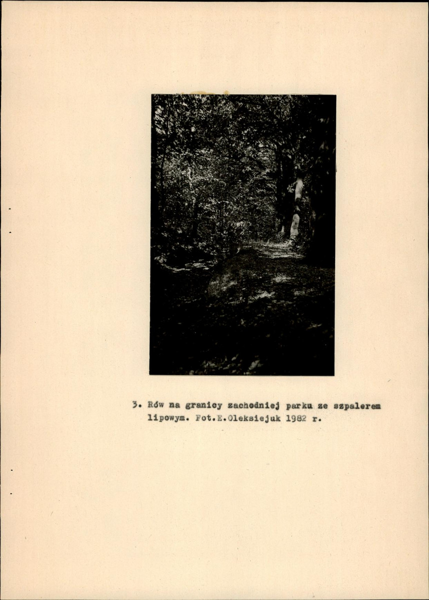 Ewidencja parkowa, skan nr 17