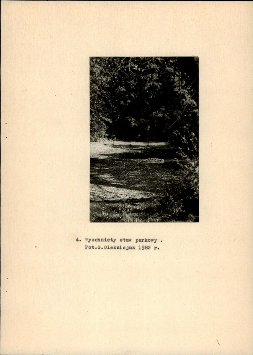 Ewidencja parkowa, skan nr 18