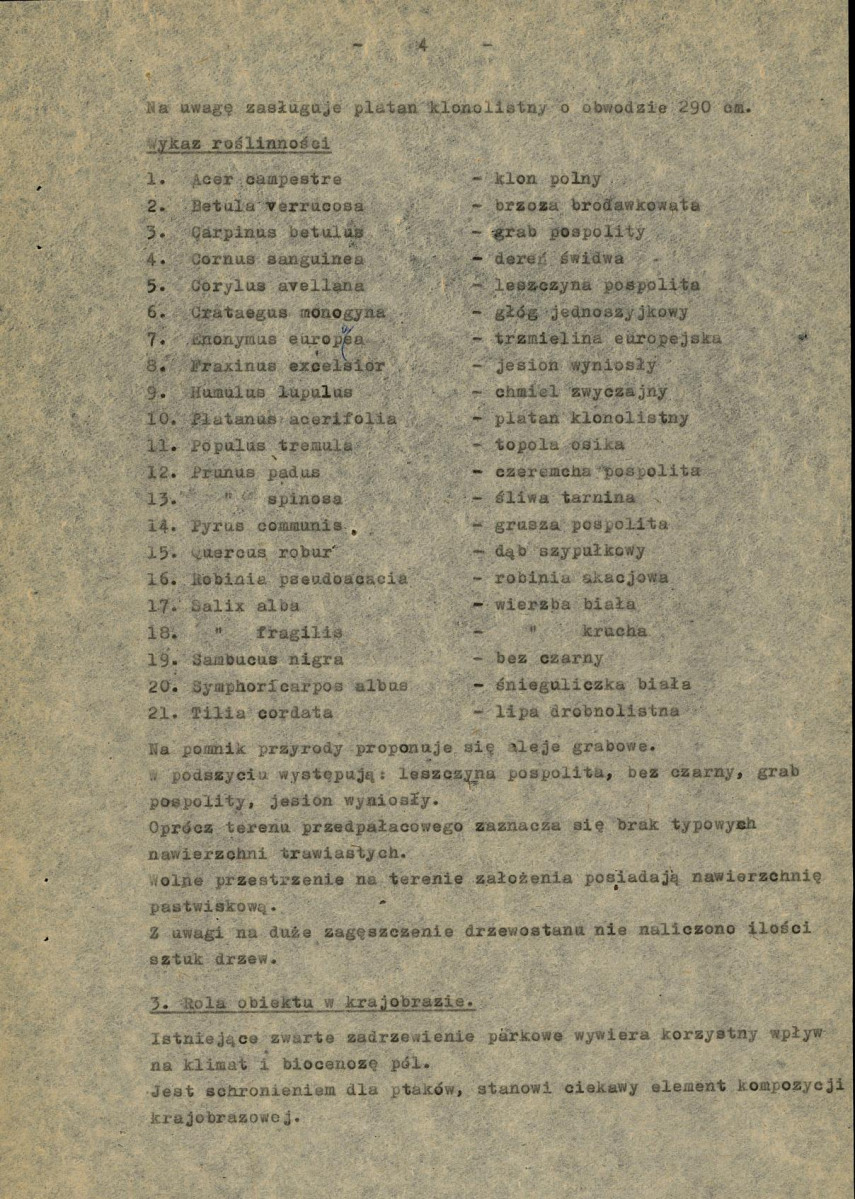 Ewidencja parkowa, skan nr 13