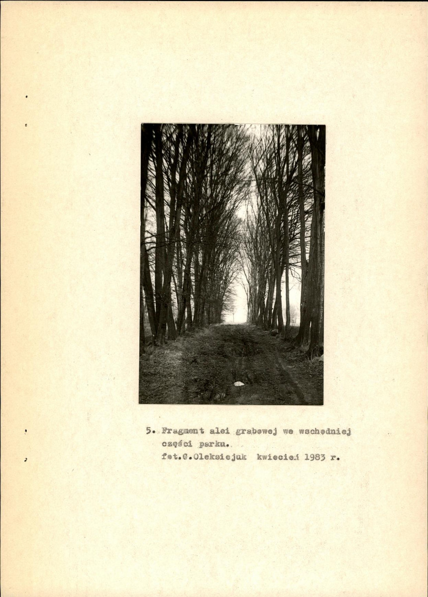 Ewidencja parkowa, skan nr 19