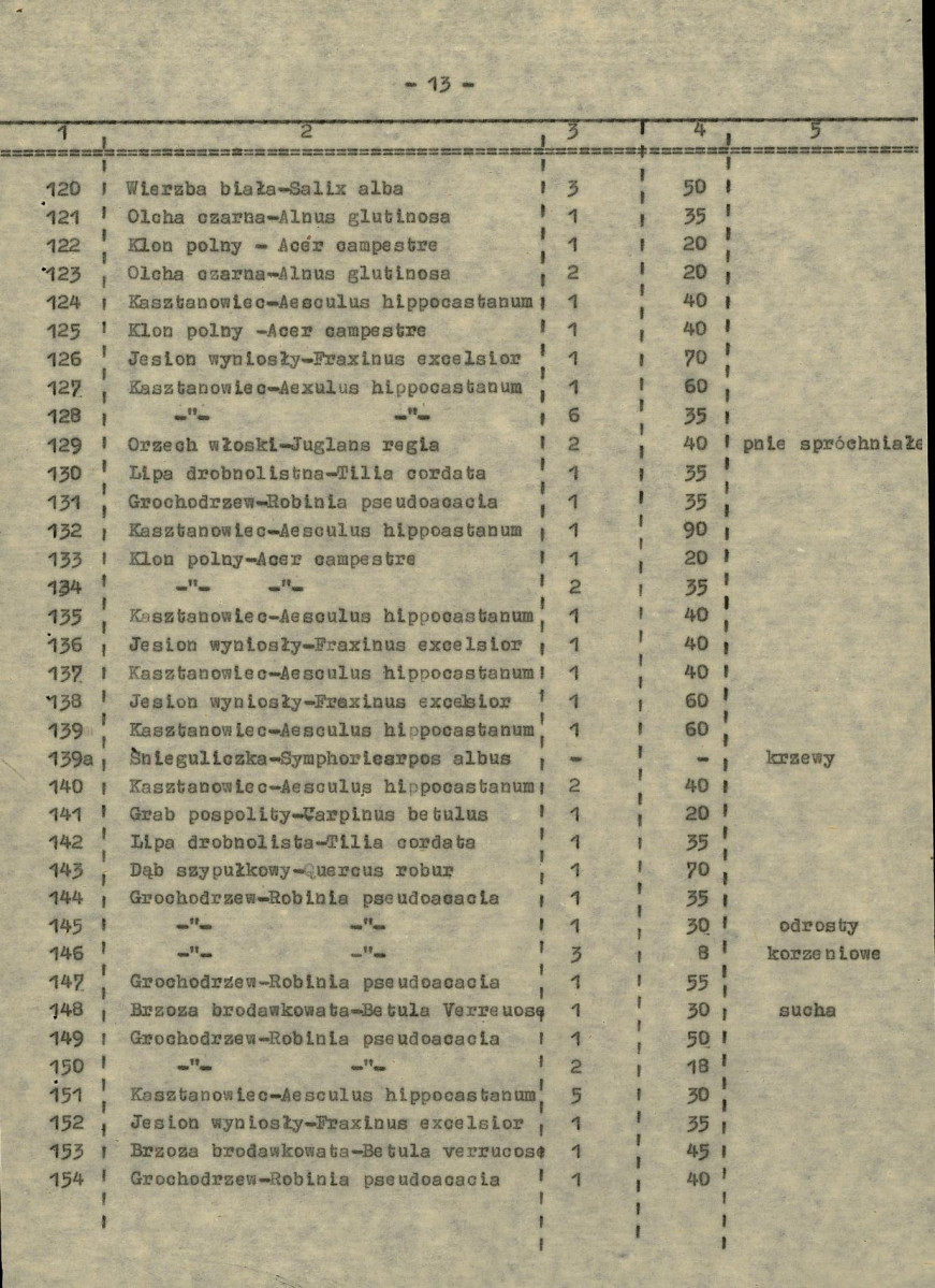 Ewidencja parkowa, skan nr 21