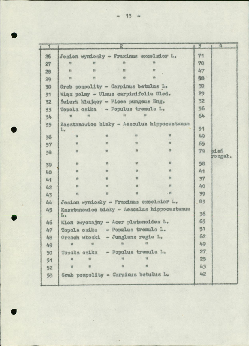 Ewidencja parkowa, skan nr 17