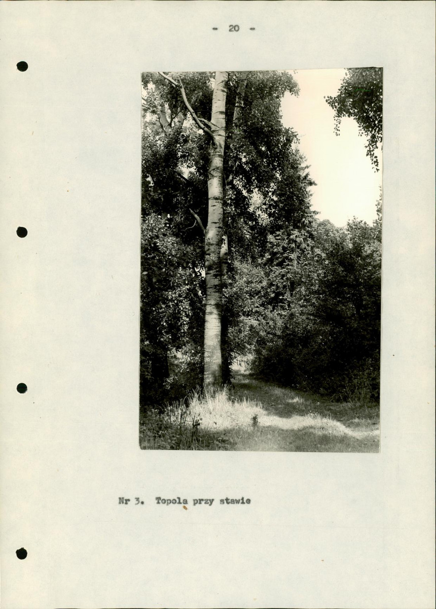 Ewidencja parkowa, skan nr 24