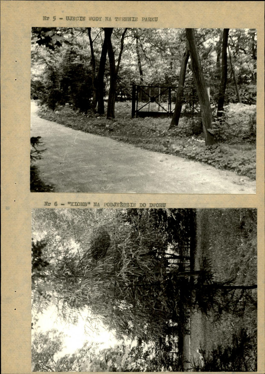 Ewidencja parkowa, skan nr 31
