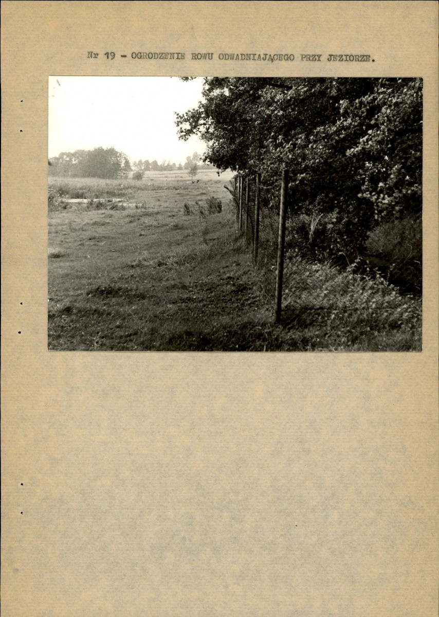 Ewidencja parkowa, skan nr 38