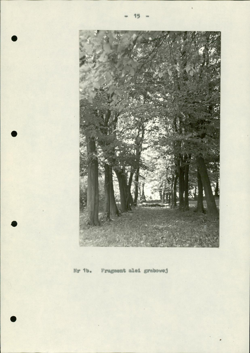 Ewidencja parkowa, skan nr 19